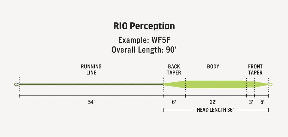 RIO リオ First RIO Perception